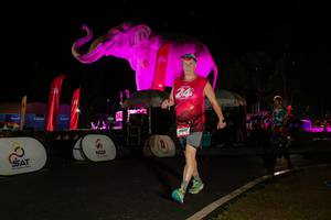 BIB: 
                            <button type="button" onclick="openModal(26535142)" class="btn btn-primary btn-sm float-right btn-popup" data-toggle="modal" data-target=".modal-high-quality">
                        <i class="fas fa-shopping-cart"></i> Add to Cart
                    </button>
                                            <button type="button" onclick="isThisMe(26535142, true)" class="btn btn-success btn-sm float-right btn-popup btn-isme hidden" data-toggle="tooltip" data-placement="bottom" title="นี่คือรูปของคุณใช่ไหม คลิกที่นี่เพื่อเอาเข้าอัลบั้ม">
                        <i class="fas fa-plus"></i> Add to album
                    </button>
                    <button type="button" onclick="isThisMe(26535142, false)" class="btn btn-warning btn-sm float-right btn-popup btn-isnotme hidden">
                        <i class="fas fa-ban"></i> Remove from album
                    </button>